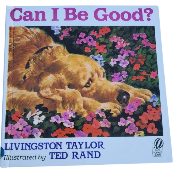Vintage Voyager 1993 Hardcover Book "Can I Be Good"  by Ted Rand - Picture 1 of 4